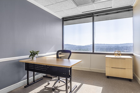 Regus | Cummings Research Park - Day Desk