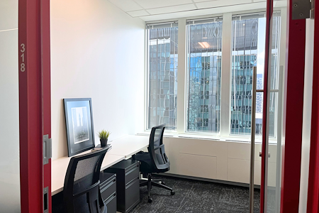 The Professional Centre - Private Window Office
