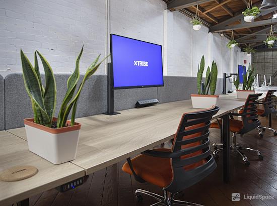 Working at xTribe at Inglewood