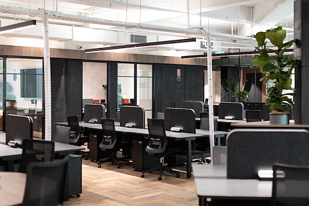 Fern, Powered by Spacecubed - Fern Coworking Day Pass