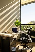 Life Time Work - Clarendon