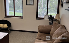 The Collective Wellness Institute
