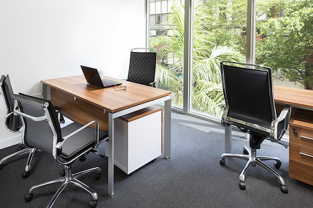 ICONIC Workspaces - Suite 315 - StreetView