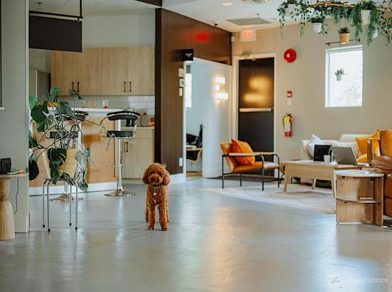 Working at Nook - Coworking Space in Richmond at Richmond