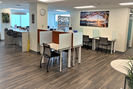 Office Evolution - Plantation - Drop in virtual space