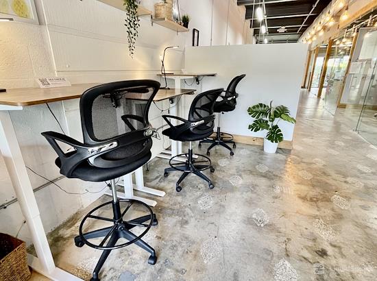 Working at BrainBox at Miami