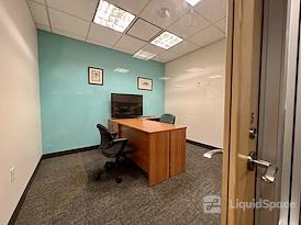 SURF Incubator