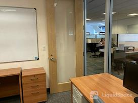 SURF Incubator