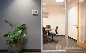 SURF Incubator