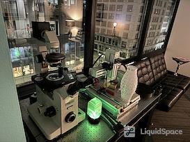 SURF Incubator