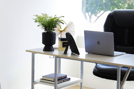 Echelon Executive Suites - Day Pass