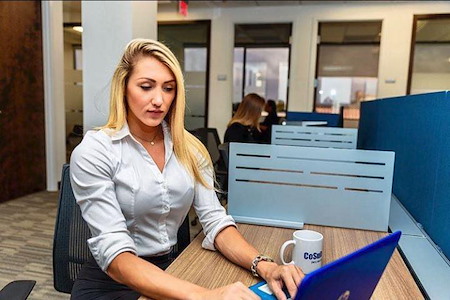 CoSuite Boca Raton - Open Desk