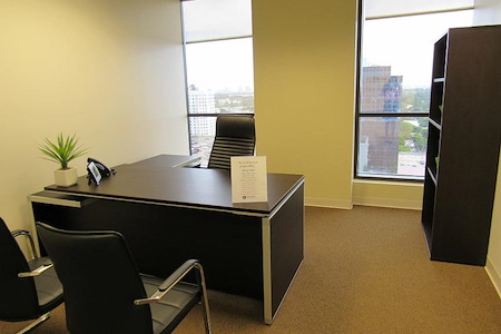 Empire Executive Offices - Office 1729