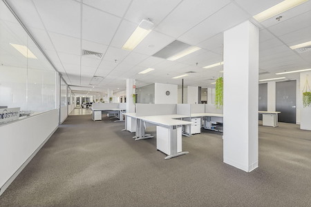 Surry Hills Office Space