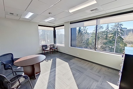 Ideal Spaces Bellevue - Team Room 2