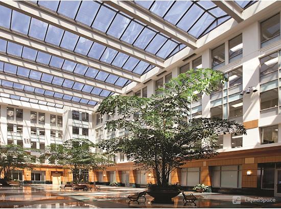 Working at ALX Community Atrium at Alexandria