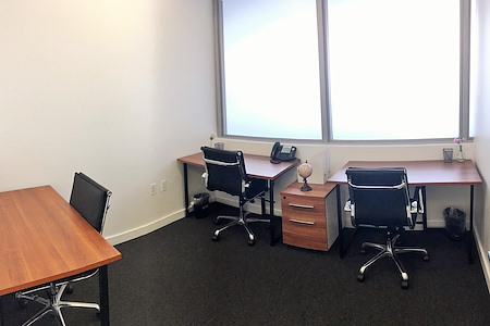 ICONIC Workspaces - Suite 302 - Natural Light