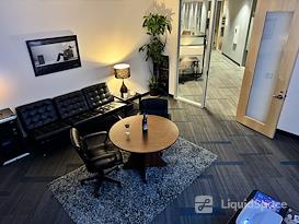 SURF Incubator
