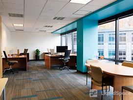 SURF Incubator
