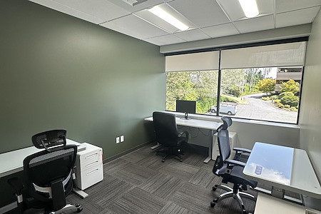 Ideal Spaces Bellevue - Large Outside Office