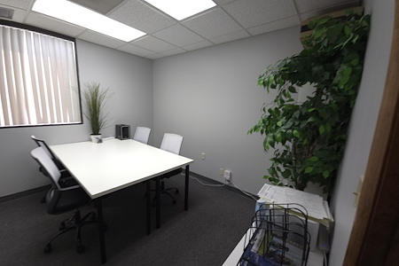 Global Impact Workspace - Private Office Suite 358, Office #4
