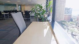 SURF Incubator