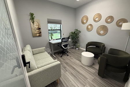 Mango Space Wesley Chapel - Mental Health Therapy Room