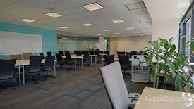 SURF Incubator