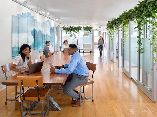 Working at Rising Tide Innovation Center at Saint Petersburg