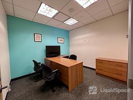 SURF Incubator