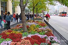 Avenue Business Center