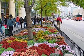 Avenue Business Center