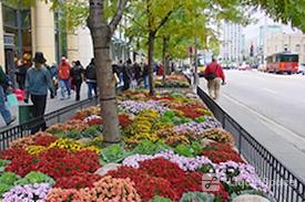 Avenue Business Center