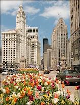 Avenue Business Center